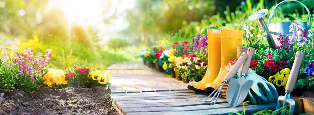 Yellow garden boots, gloves, and hand tools beside a path and flowering plants